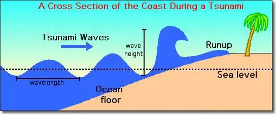 A Cross Section of the Coast During a Tsunami
