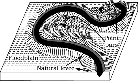 Natural Levees