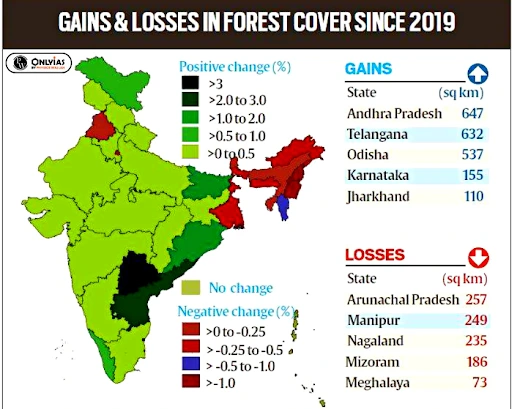 GAINS & LOSSES INFOREST COVER SINCE 2019