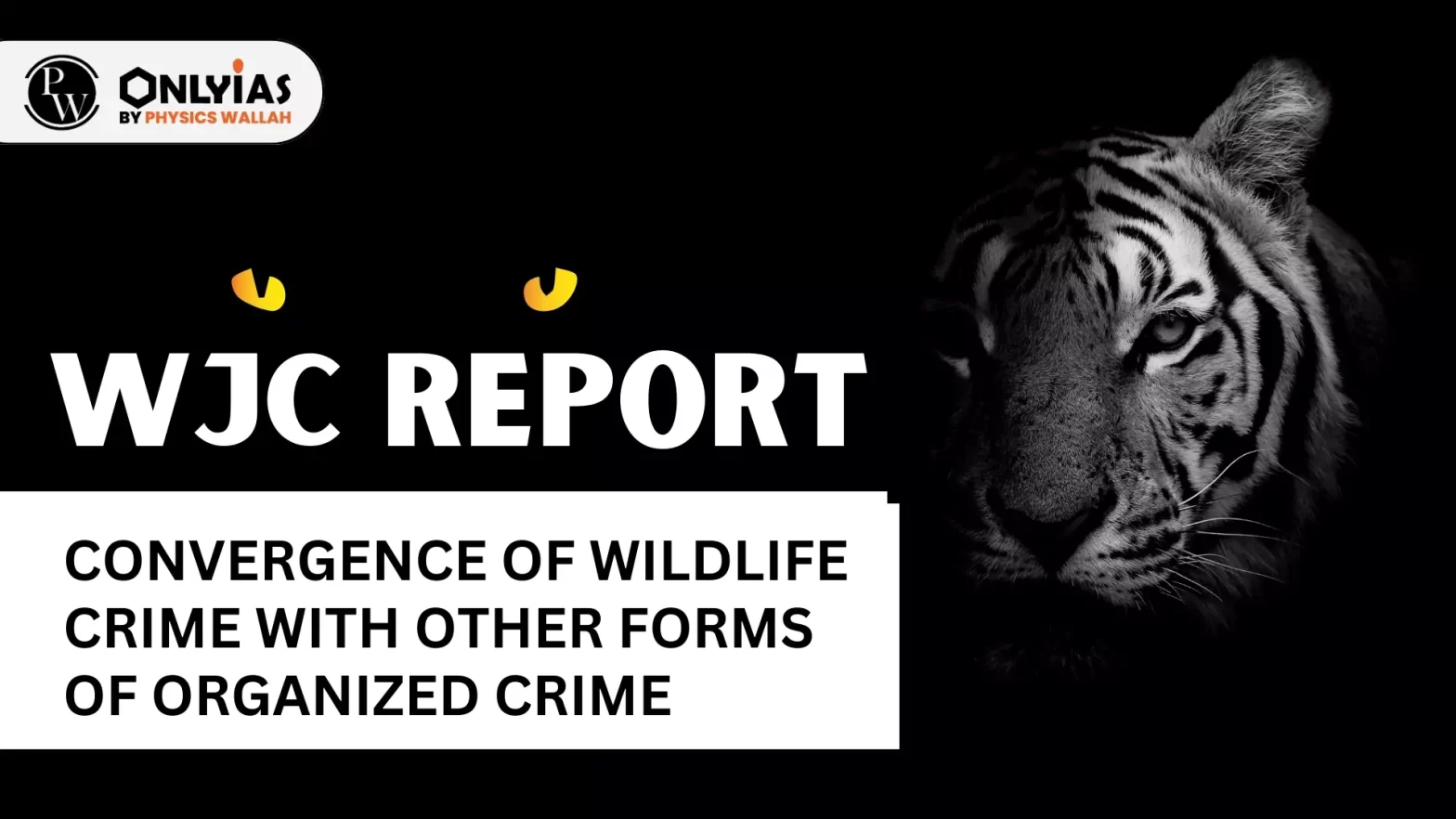 WJC Report – Convergence of Wildlife Crime With Other Forms of Organized Crime