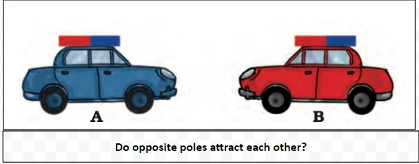poles attract each other