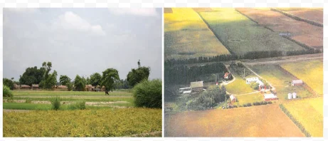 An agricultural field in India and a farm in USA.