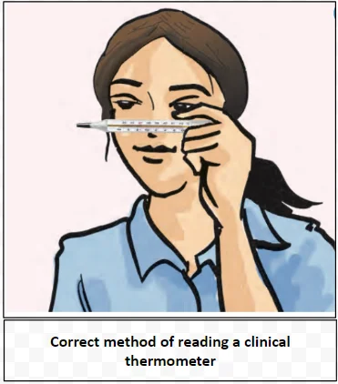 Clinical Thermometer