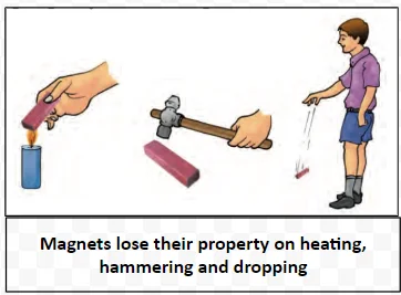 Magnets lose their property on heating, hammering and dropping 
