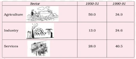 Comparison between the contribution of different sectors to GDP in 1950-51 and 1990-91