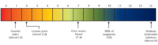 pH of some common substances