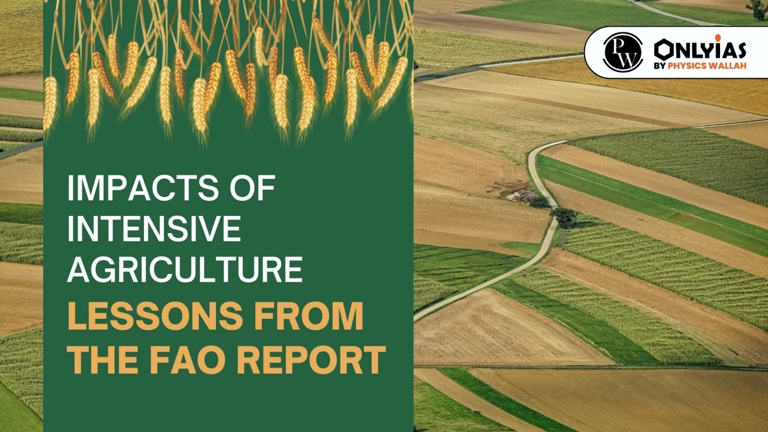 Impacts of Intensive Agriculture: Lessons from the FAO Report