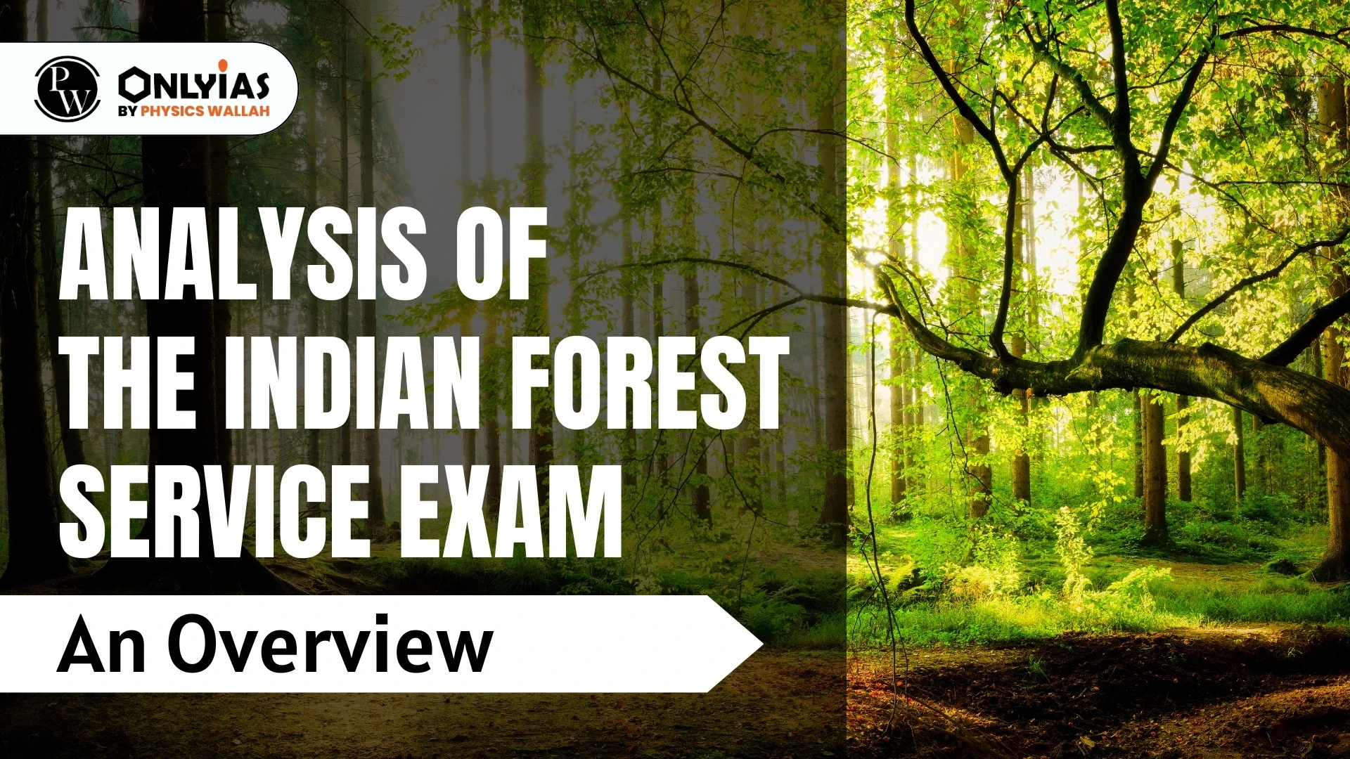 UPSC Indian Forest Service Exam: IFoS Notification 2024 - PWOnlyIAS