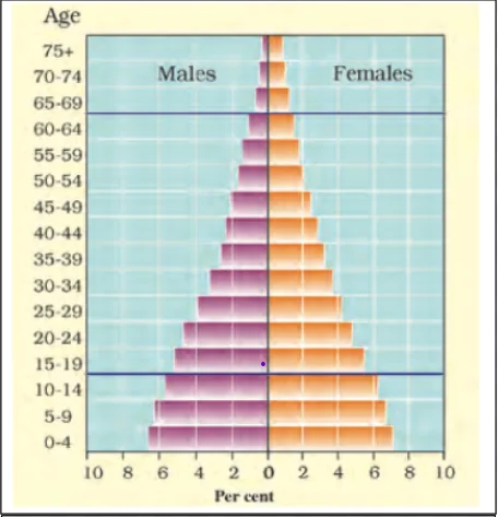 Population Pyramid of India