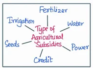 agriculture subsidies