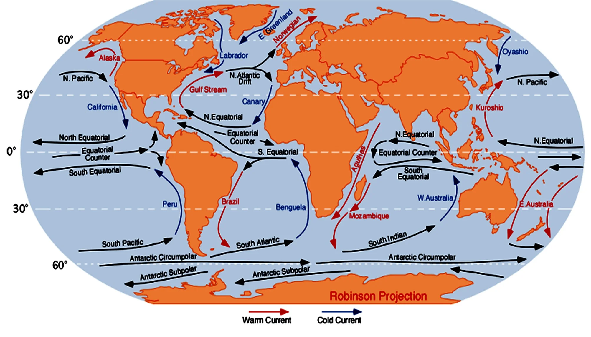 warm & cold currents