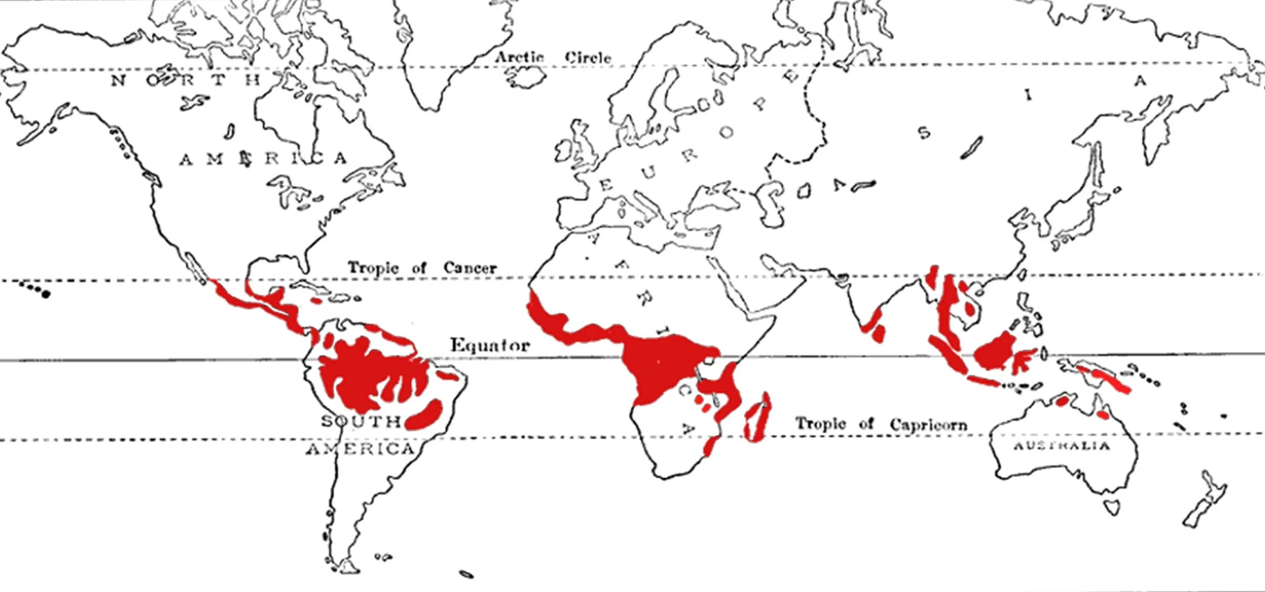 tropical regions