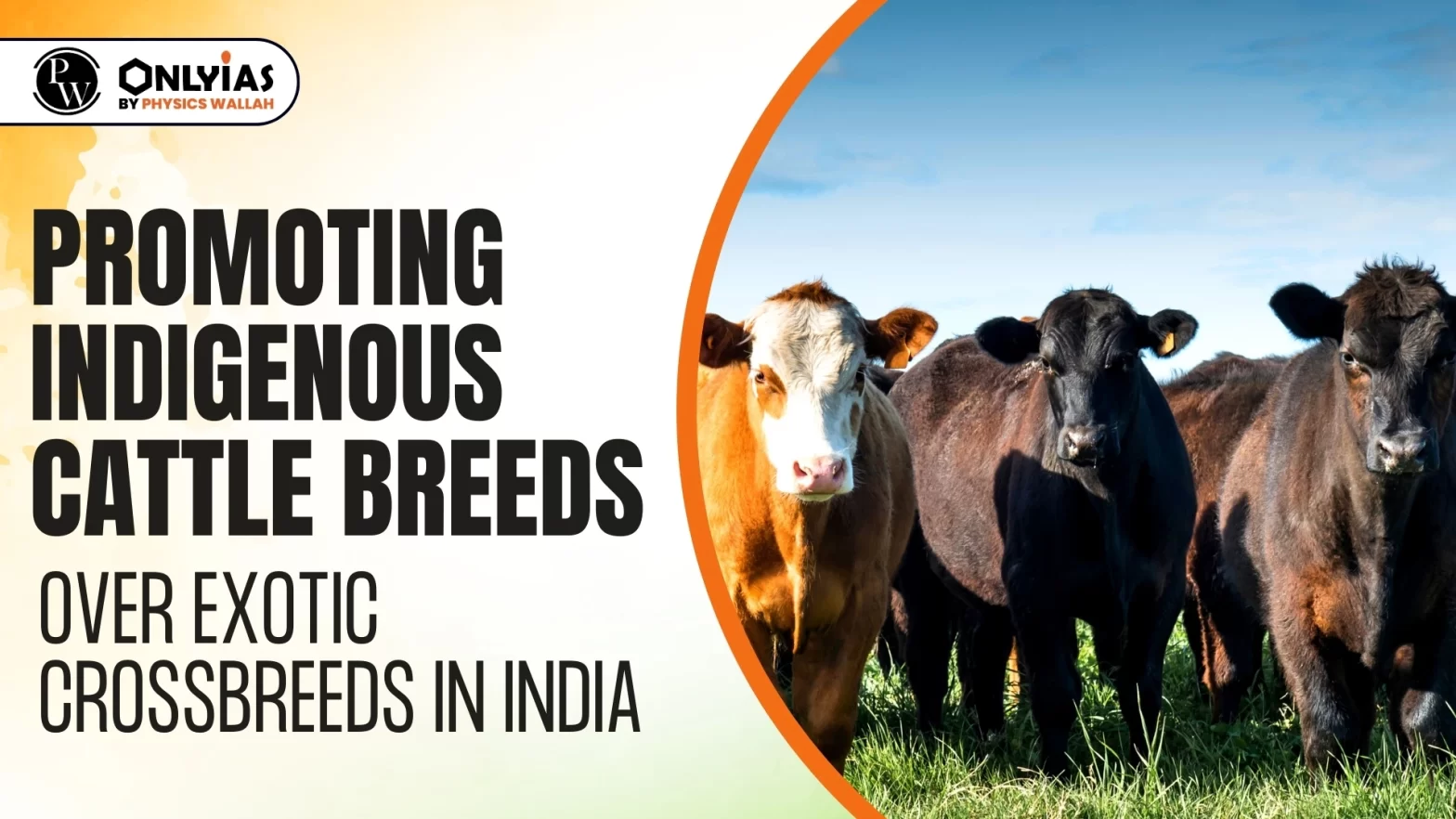 Promoting Indigenous Cattle Breeds Over Exotic Crossbreeds in India