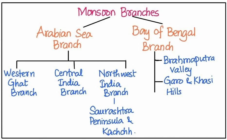 Monsoon Branches