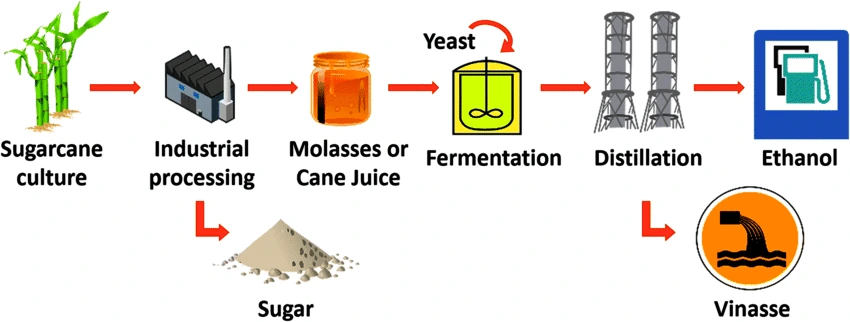 Sugarcane Juice