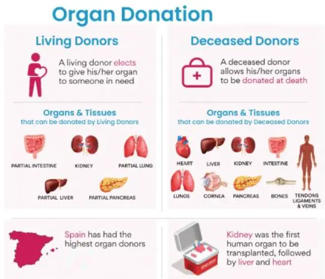 Organ Donation