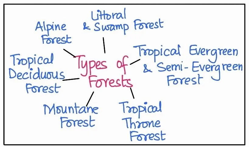 Types of Forests