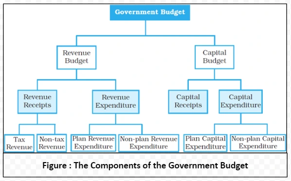 The Components of the Government Budget