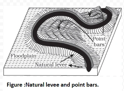 Natural levee and point bars.