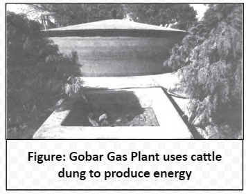 Gobar Gas Plant uses cattle dung to produce energy