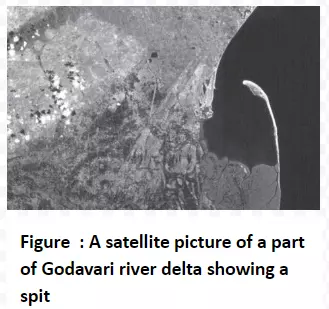 A satellite picture of a part of Godavari river delta showing a spit