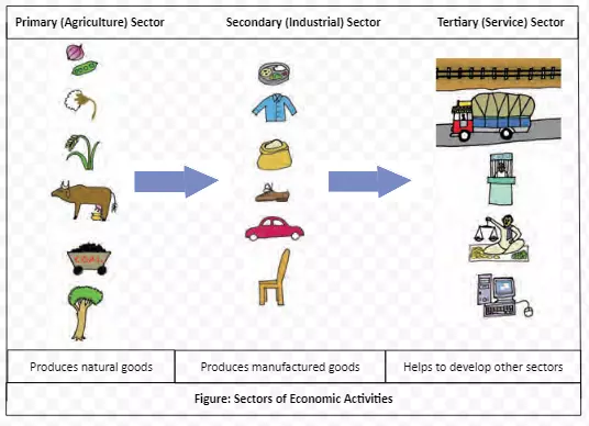 Sectors of Economic Activities
