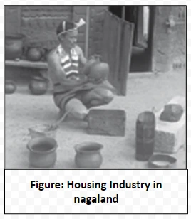 Housing Industry in nagaland