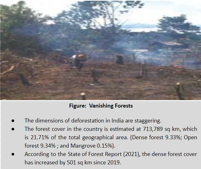 Vanishing Forests