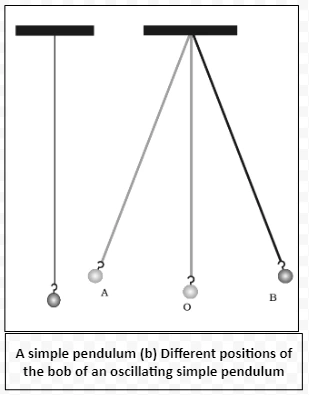 A simple pendulum (b) Different positions of the bob of an oscillating simple pendulum