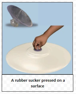  A rubber sucker pressed on a surface