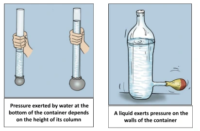 Pressure Exerted by Liquids in simple Experiments