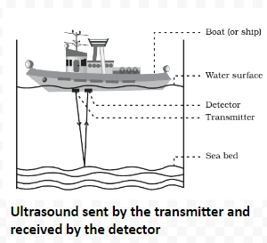 Ultrasound sent by the transmitter and received by the detector