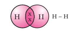 bond between two hydrogen atoms