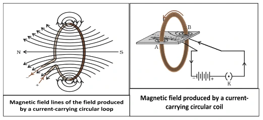 Circular Loop Wires: Magnetic Field Lines and Strength Dynamics