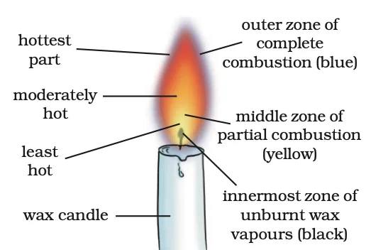 Diverse Facets of Combustion