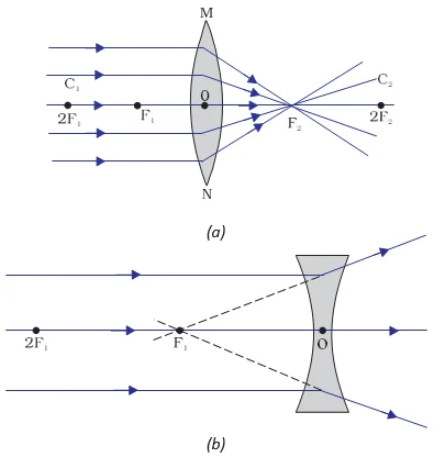 diverging action of a concave lens