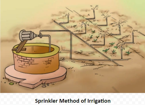 Sprinkler Method of Irrigation