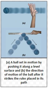 (a) A ball set in motion by pushing it along a level surface and (b) the direction of motion of the ball after it strikes the ruler placed in its path 