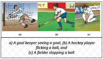  a) A goal keeper saving a goal, (b) A hockey player flicking a ball, and (c) A fielder stopping a ball 