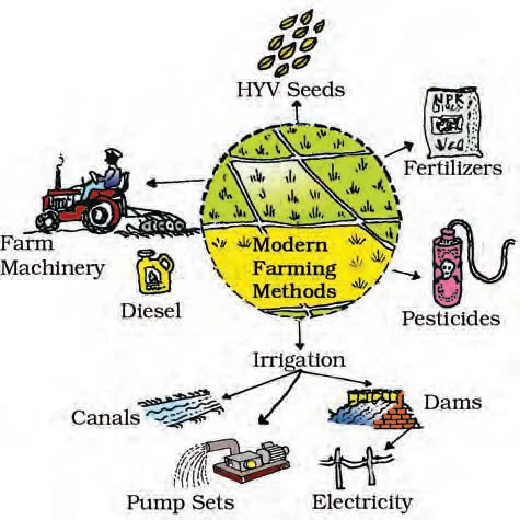 Modern Farming Methods: HYV seeds, chemical fertilizer etc.
