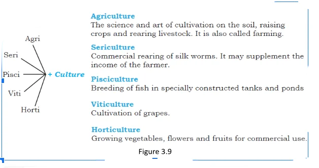 Agriculture