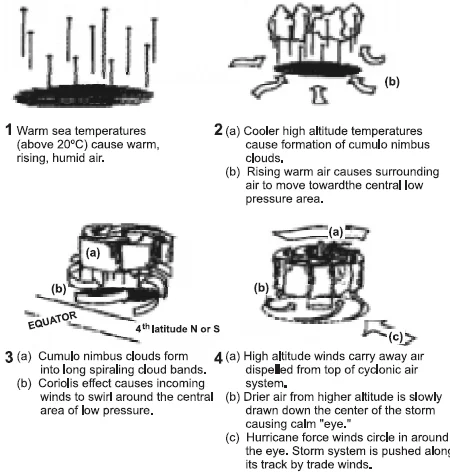 Stages of Cyclone Formation