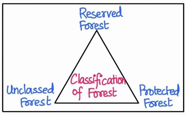 Classification of forest