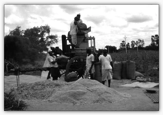 Agricultural work in a village