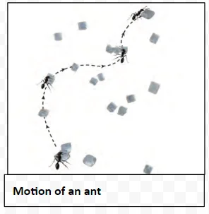 Motion of an ant 