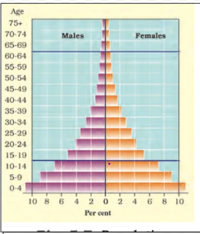 Population Pyramid of Kenya