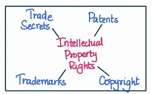 Intellectual property's rights