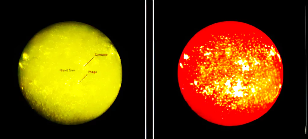 images of Sun