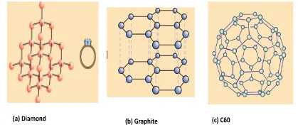 Allotropes of Carbon