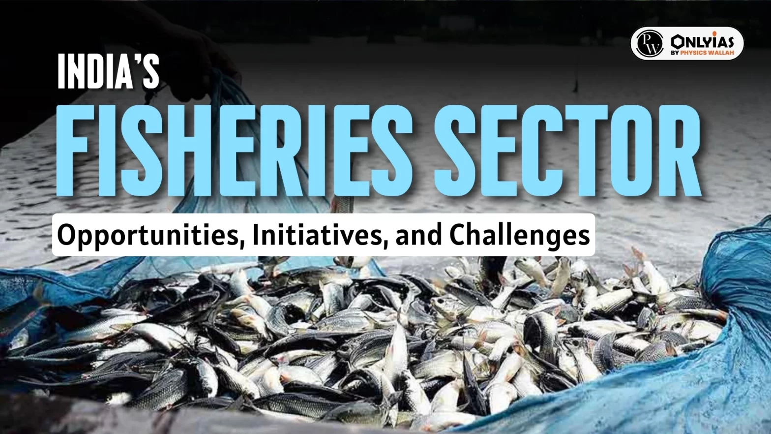 India’s Fisheries Sector: Opportunities, Initiatives, and Challenges